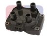 ANGLI 15007 Ignition Coil